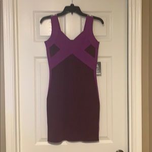 Express BodyCon Dress